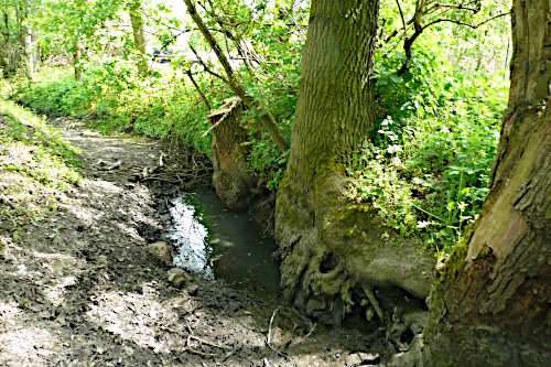 Nördliche Rietzschke, Leipzig