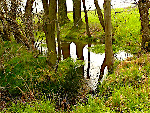 Probsthain Bach Ost Stangenweg