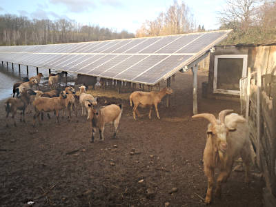 Solaranlage Sermuth